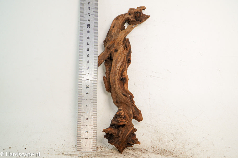 Driftwood S254 - Hardscape.nl