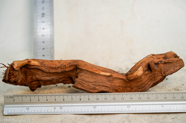 Driftwood S358 - Hardscape.nl