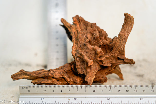 Driftwood S360 - Hardscape.nl