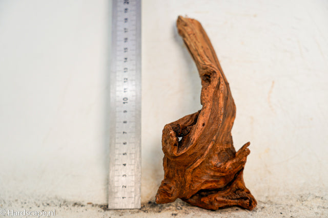 Driftwood S361 - Hardscape.nl
