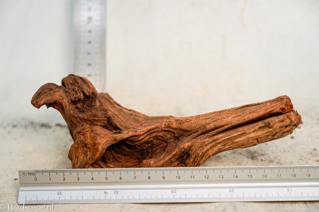 Driftwood S361 - Hardscape.nl