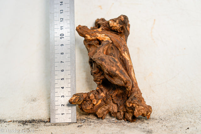 Driftwood S366 - Hardscape.nl