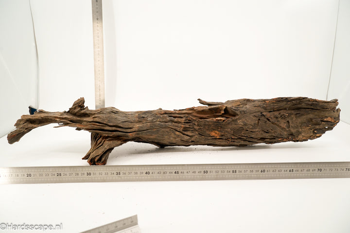 Driftwood XL160 - Hardscape.nl