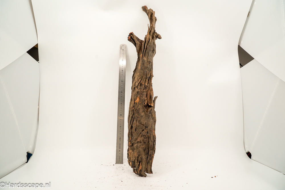 Driftwood XL160 - Hardscape.nl