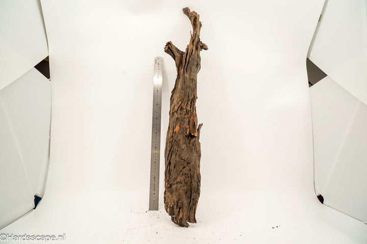 Driftwood XL160 - Hardscape.nl