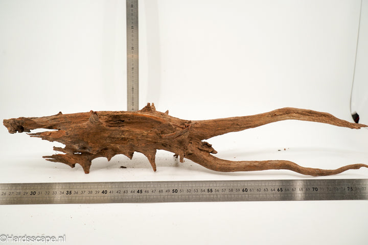 Driftwood XL161 - Hardscape.nl