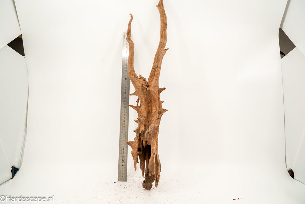 Driftwood XL161 - Hardscape.nl
