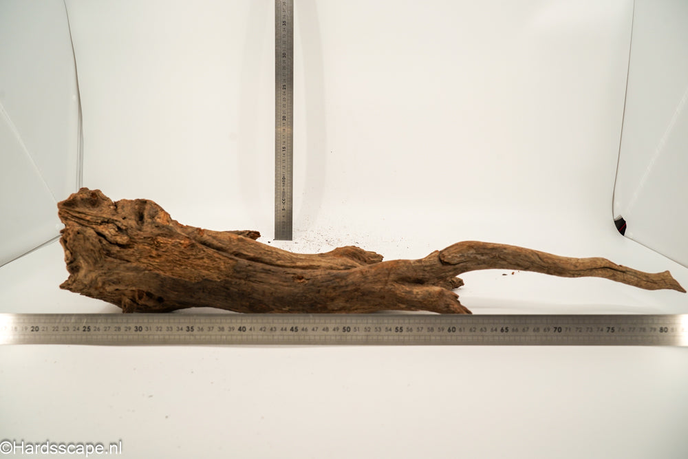 Driftwood XL162 - Hardscape.nl
