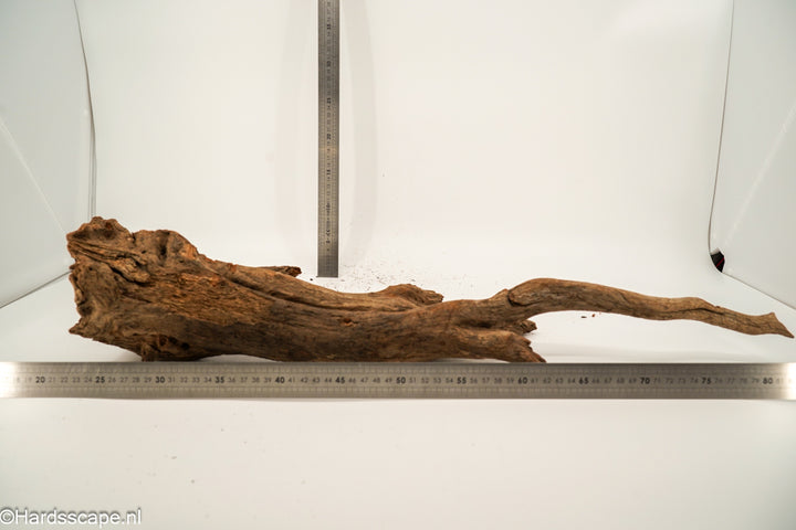 Driftwood XL162 - Hardscape.nl