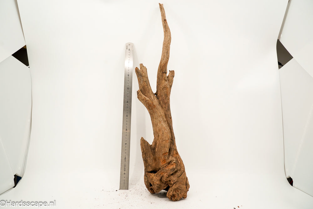 Driftwood XL162 - Hardscape.nl