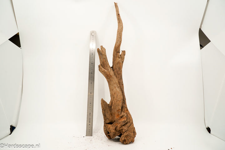 Driftwood XL162 - Hardscape.nl