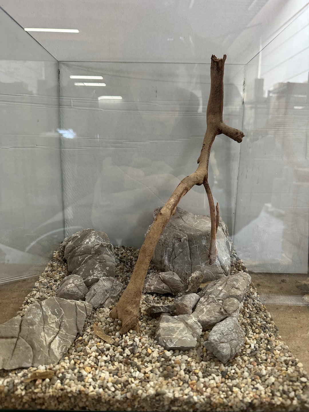 Elephant Rock - Hardscape.nl