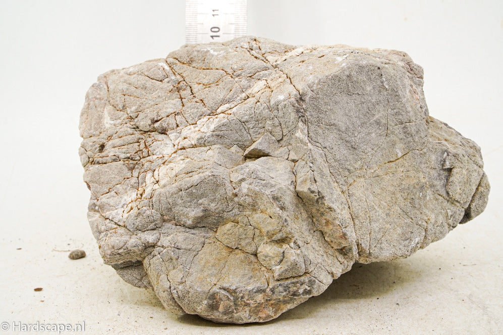 Elephant Skin Rock XL133 - Hardscape.nl