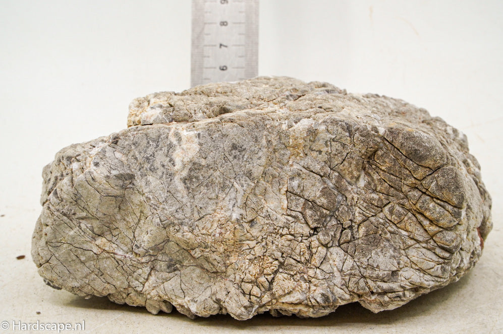 Elephant Skin Rock XL135 - Hardscape.nl