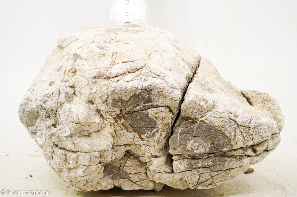 Elephant Skin Rock XL136 - Hardscape.nl