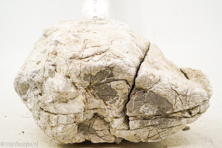 Elephant Skin Rock XL136 - Hardscape.nl