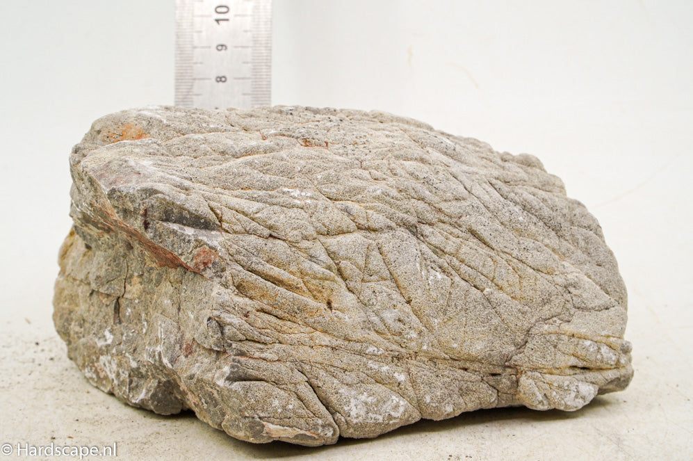 Elephant Skin Rock XL137 - Hardscape.nl