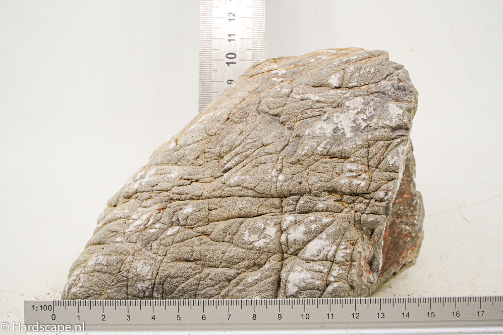 Elephant Skin Rock XL137 - Hardscape.nl