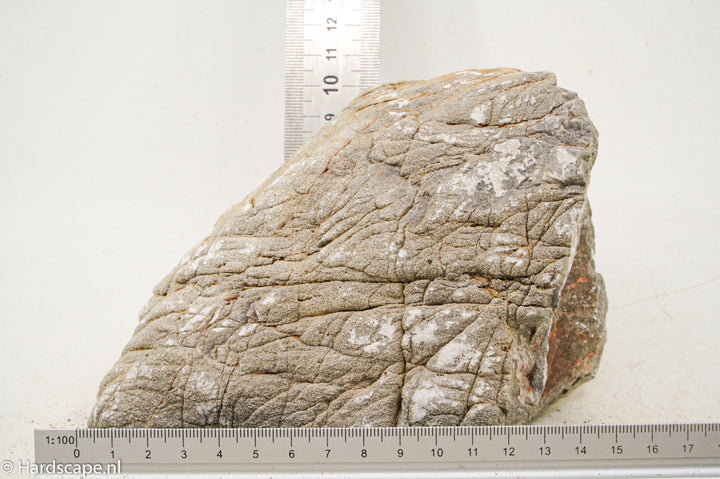 Elephant Skin Rock XL137 - Hardscape.nl