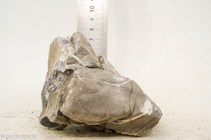 Elephant Skin Rock XL138 - Hardscape.nl