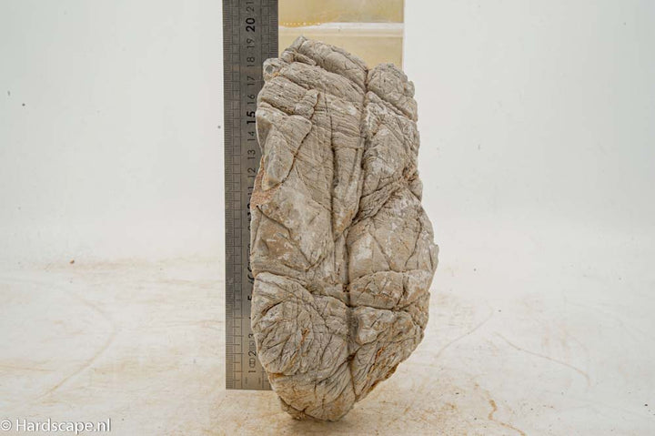 Elephant Skin Rock L145
