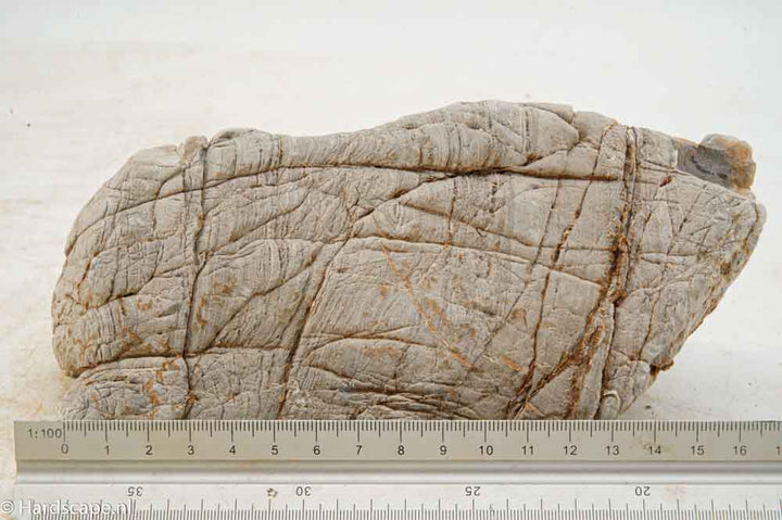 Elephant Skin Rock L145