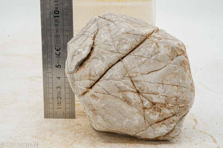 Elephant Skin Rock L146