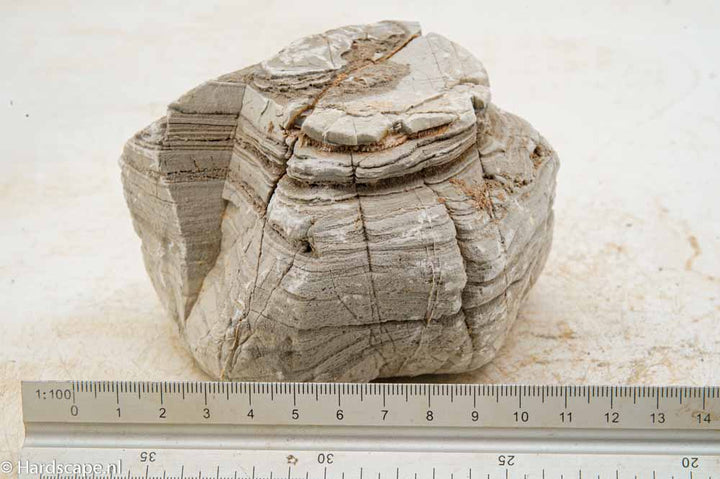 Elephant Skin Rock L146
