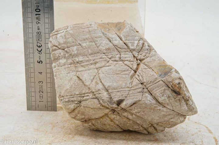Elephant Skin Rock L147