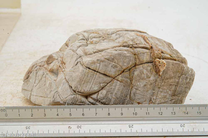 Elephant Skin Rock L147