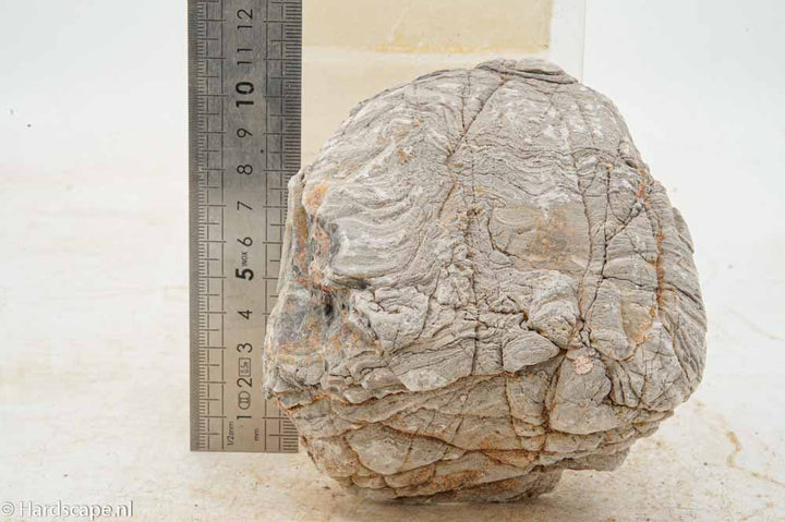 Elephant Skin Rock L148