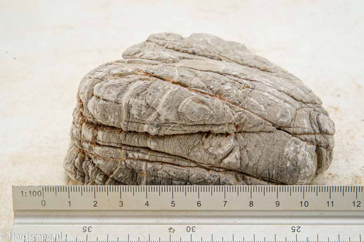 Elephant Skin Rock L148