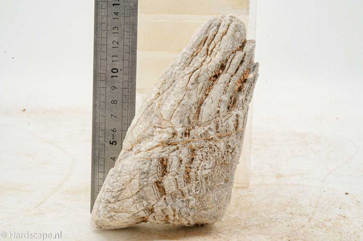 Elephant Skin Rock L150