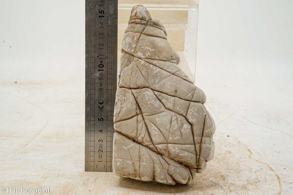 Elephant Skin Rock L151
