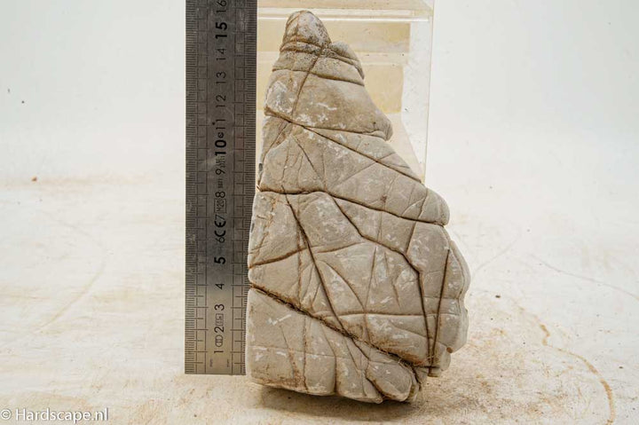 Elephant Skin Rock L151