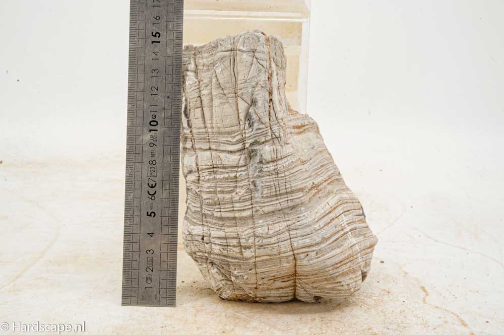 Elephant Skin Rock L152