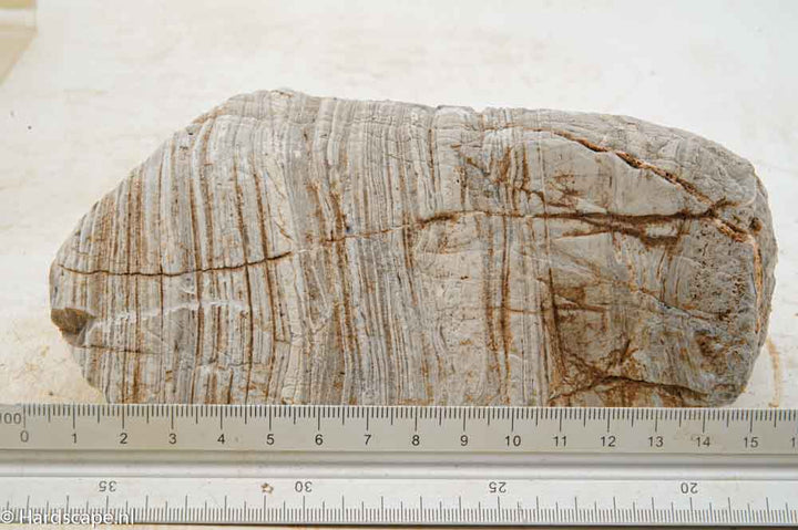 Elephant Skin Rock L152