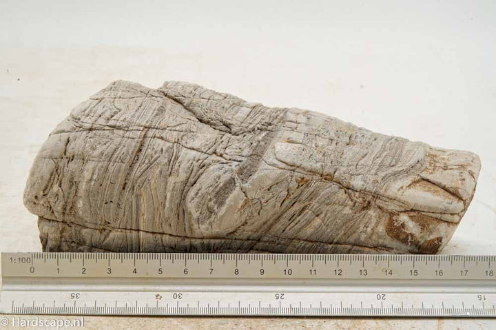 Elephant Skin Rock L153
