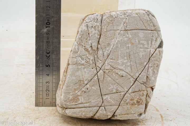 Elephant Skin Rock L154