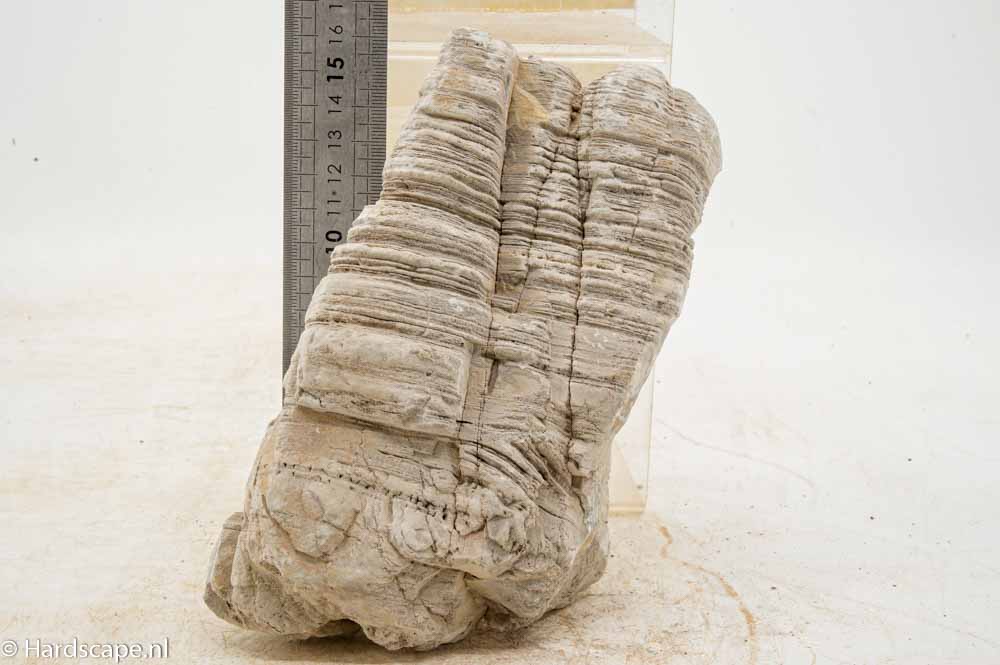 Elephant Skin Rock L155