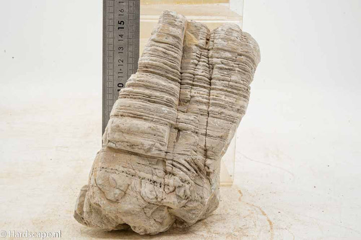Elephant Skin Rock L155
