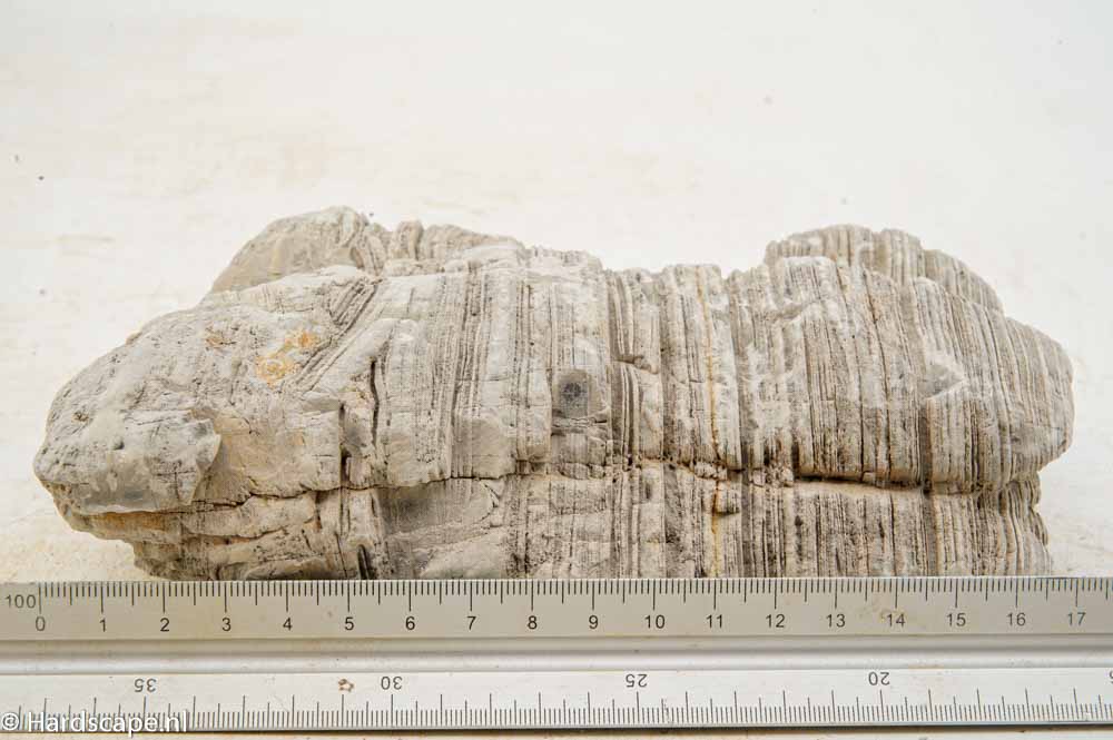 Elephant Skin Rock L155