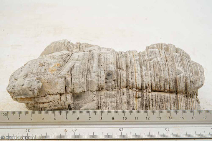 Elephant Skin Rock L155