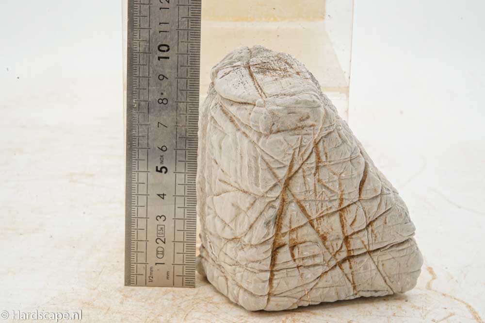Elephant Skin Rock M155