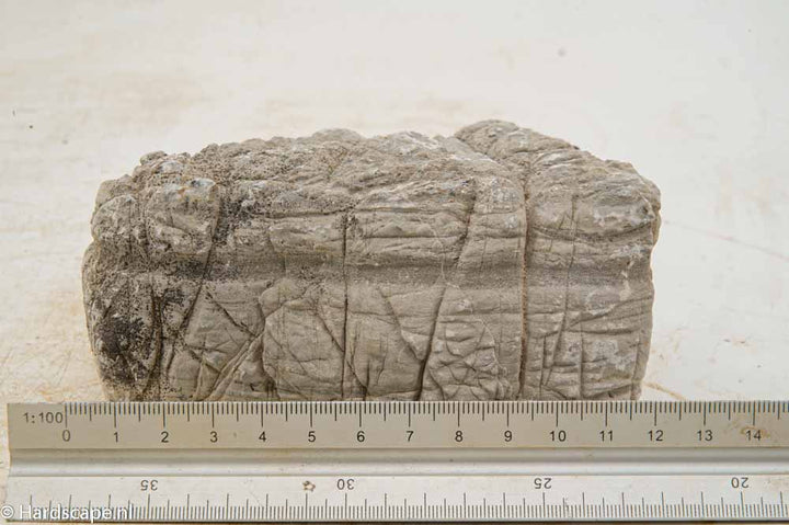 Elephant Skin Rock M155