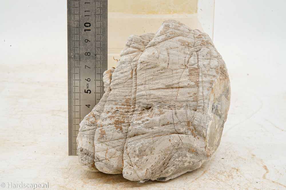 Elephant Skin Rock M156