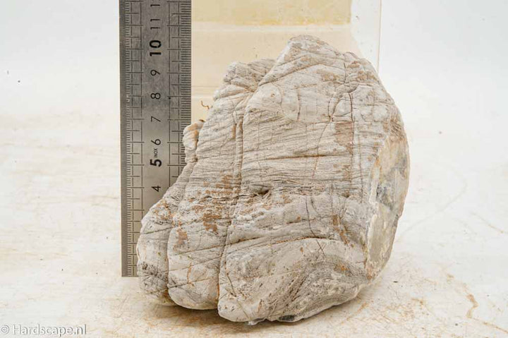 Elephant Skin Rock M156