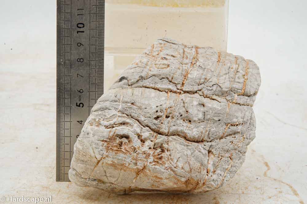 Elephant Skin Rock M157