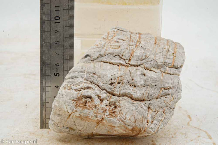 Elephant Skin Rock M157