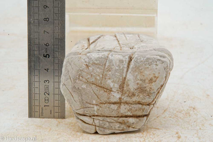 Elephant Skin Rock M158